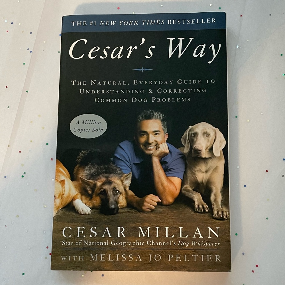 Ceasar’s Way - Paperback Book